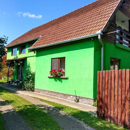 Csergő Ildikó vendégház Lăzarea Exterior foto