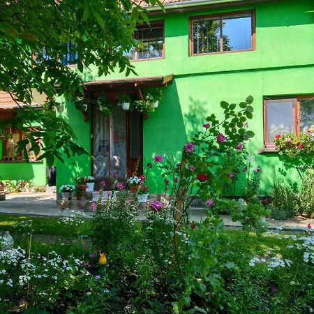 Csergő Ildikó vendégház Lăzarea Exterior foto