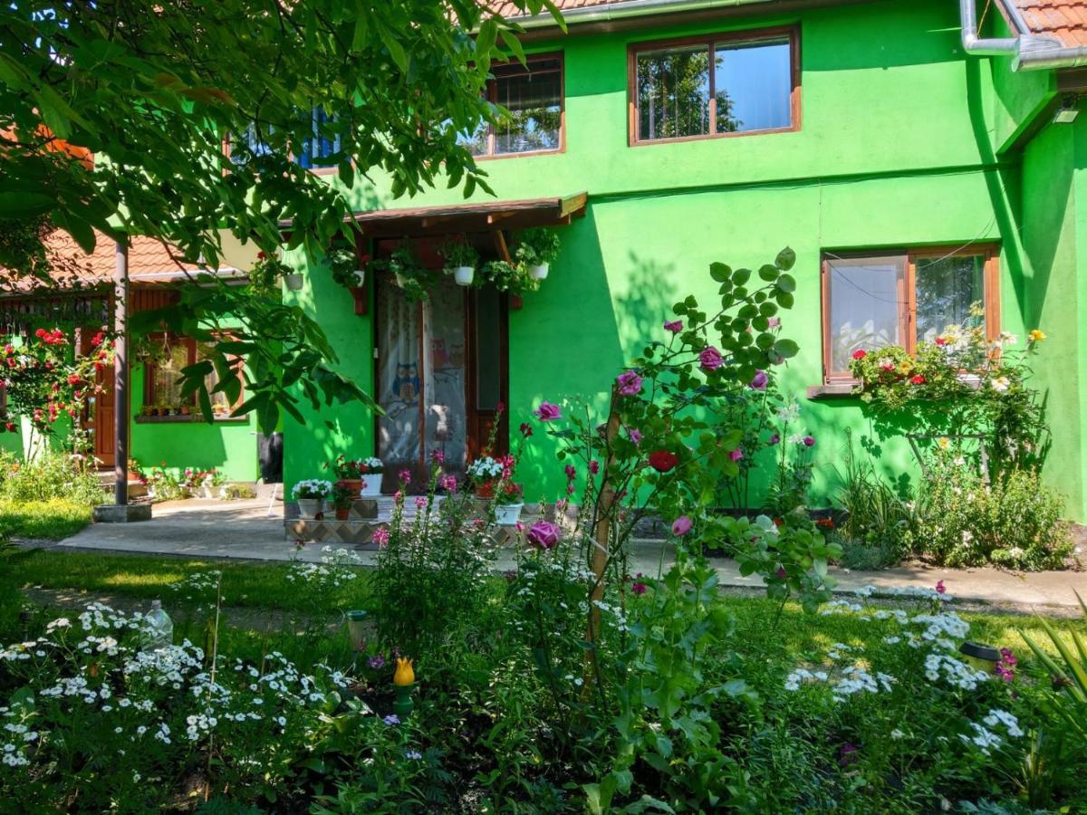 Csergő Ildikó vendégház Lăzarea Exterior foto