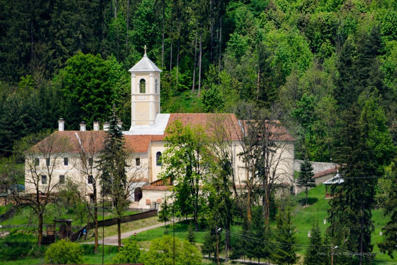Csergő Ildikó vendégház Lăzarea Exterior foto